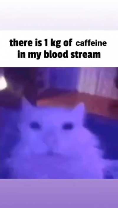 1kg