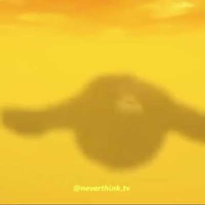 Monke drinks potion of fire resistance