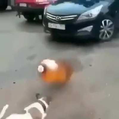 Xd'nt