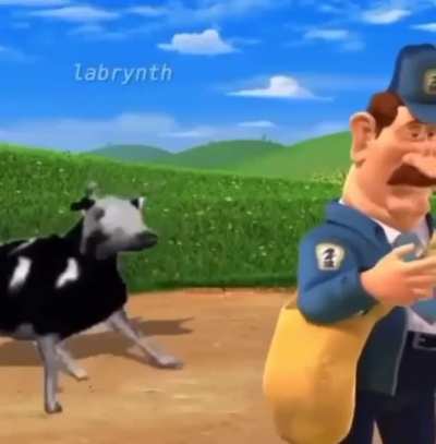 Funny cow