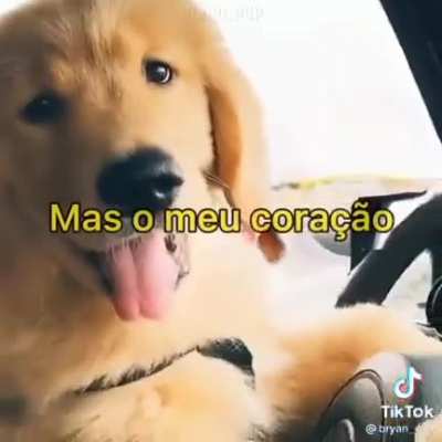 biii