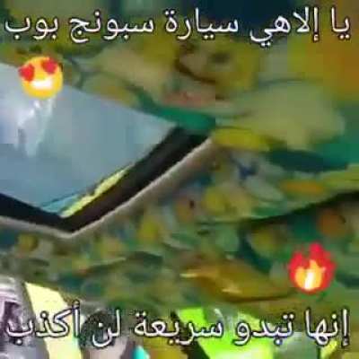 سبونج<wbr>بوب بالتن<wbr>قيط