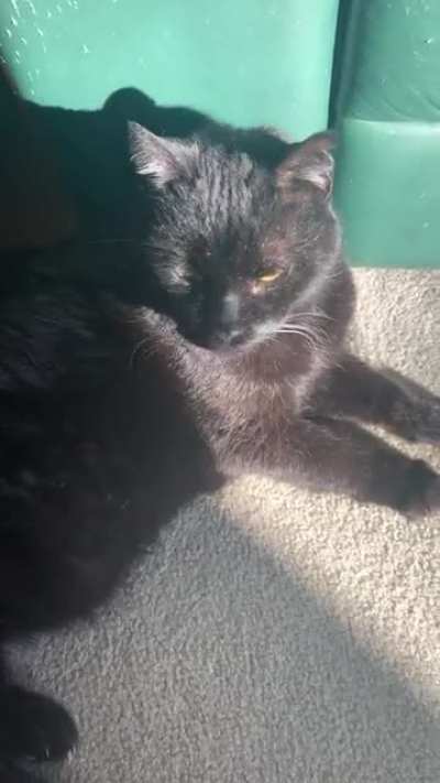 Each Time I Approach Him