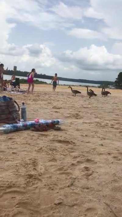I think I’m about to witness a massacre