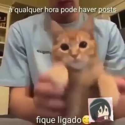 Aguarde