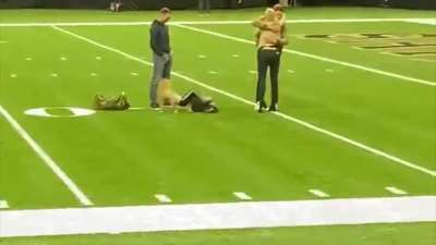 Football is incredible