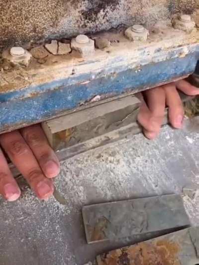 Bone cutter