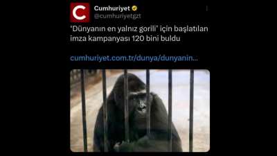İMZA
