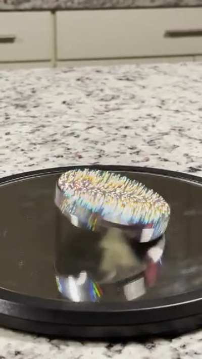 Euler’s disc (LONG)