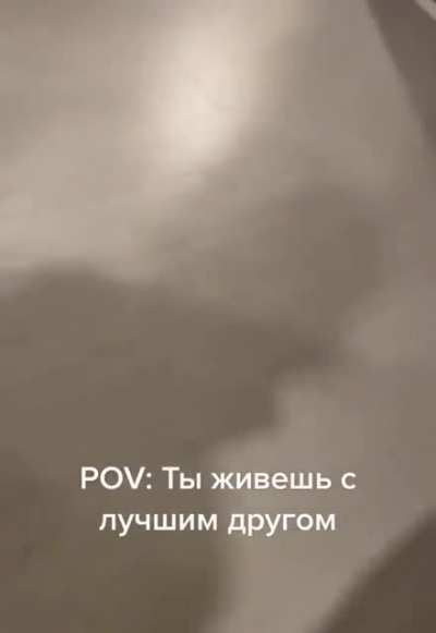 Лучший друг