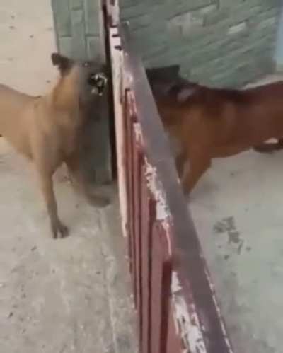 People online vs when they actually meet