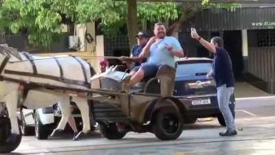 A fully functional mothorized horse-cart that uses a leash instead of a steering wheel
