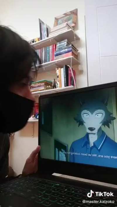 This isn’t mine but this is how I got in to beastars