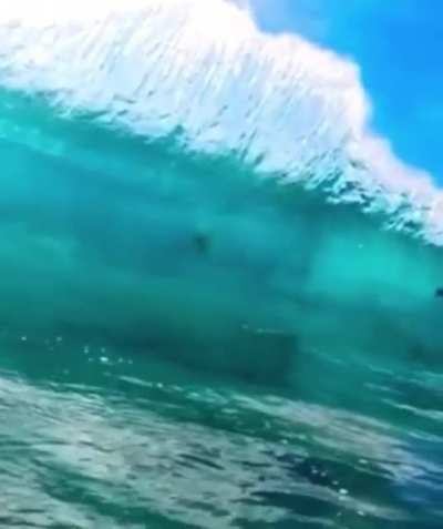 Wow just look at the wave color.