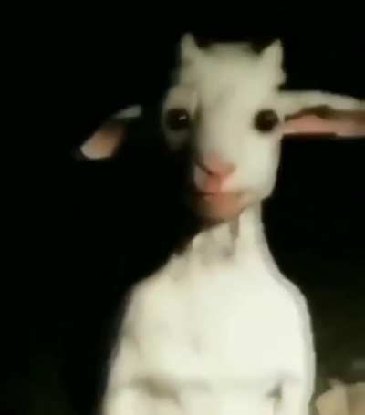 o_o