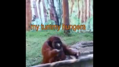 Banan