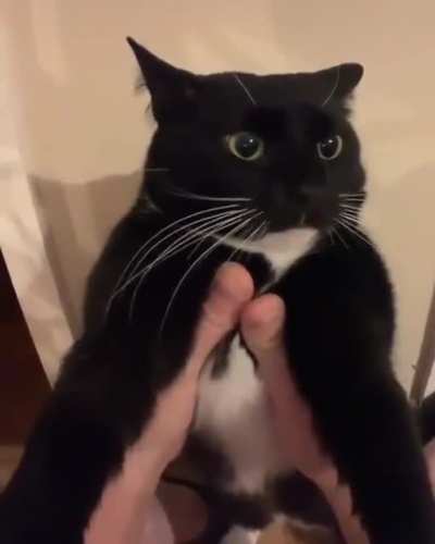 noo