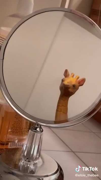 I’m so fucking drunk