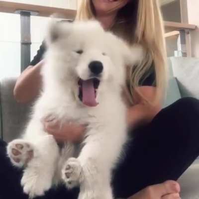 Possibly been posted here but I thought it was cute