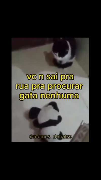 Felipe