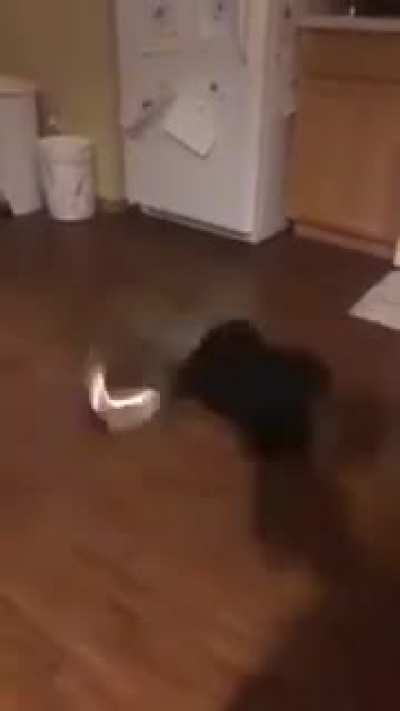 Spinning, spinning, spinning...