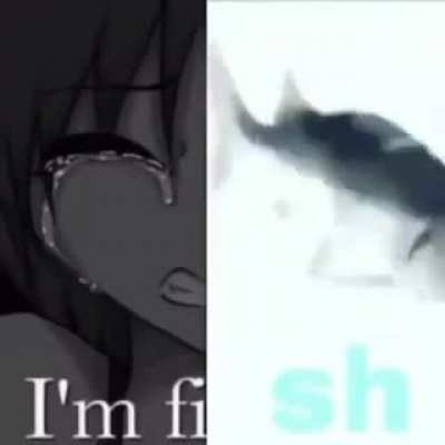 feesh