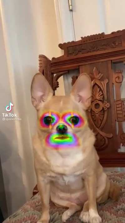 Si