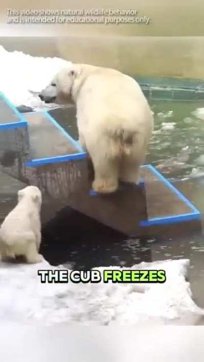 Учись, студент.
