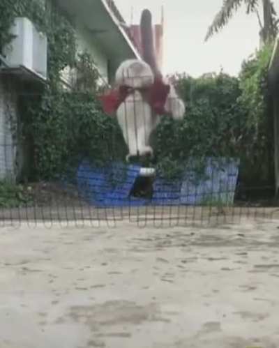 Risk was calculated.