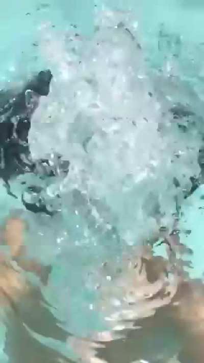 Magic Reveal