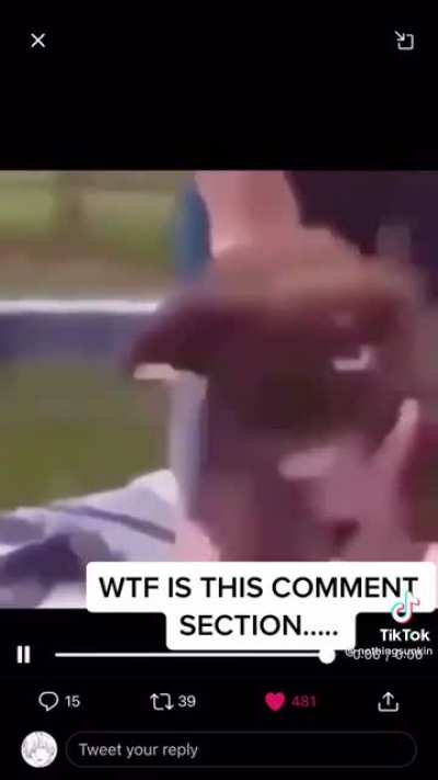 i can't-