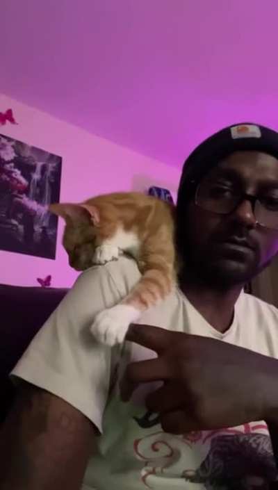 This cat sleep on his shoulder every morning and today she held his finger!