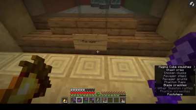 I collected (almost) every single mob in the game, in pure survival, and then stored them in one location; this is the museum that i've been working on for the past year!