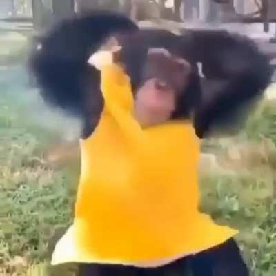 Solo un monito