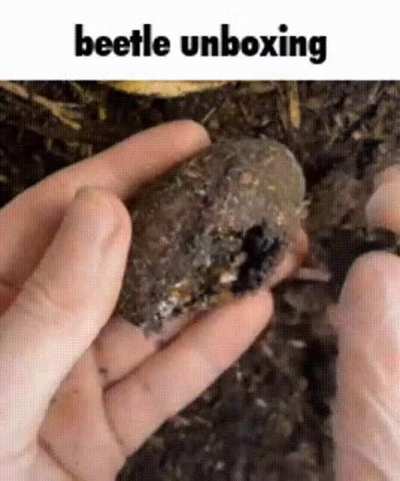 Beggpole!!!!!!!