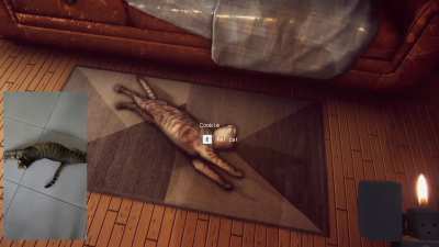 This is my Fatal-Frame inspired horror game that I just released recently, where you have to take pictures of ghost anomalies and pet your cat to restore your sanity. What do you think?