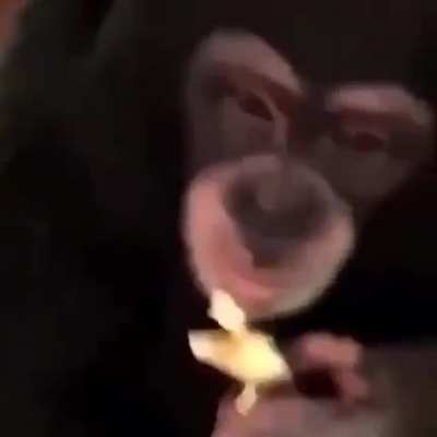 bro