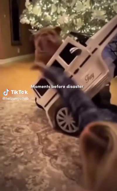 NOOO