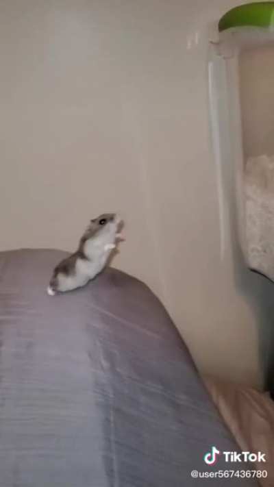 To fly