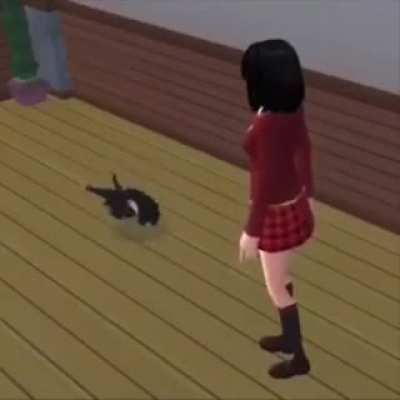 wat 😂my cat doimg 😂😂