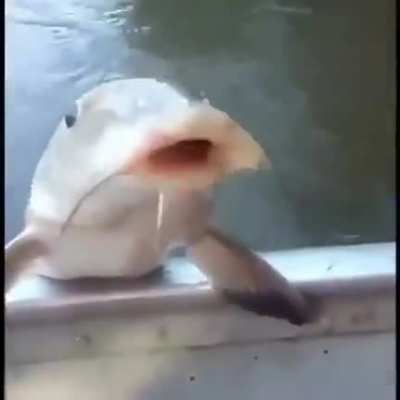 :(