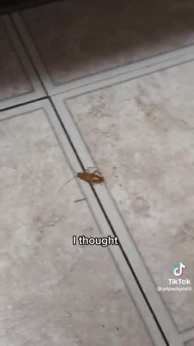 How a Villainess deals with getting roaches in her apartment