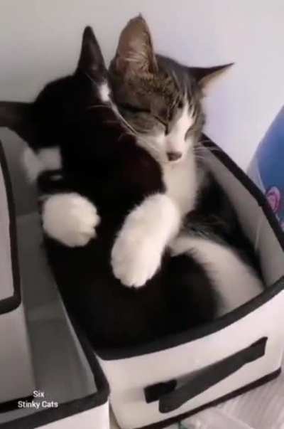 Squished Love.
