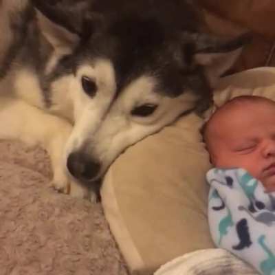 She's in love with the tiny human