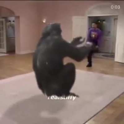 Monke flip
