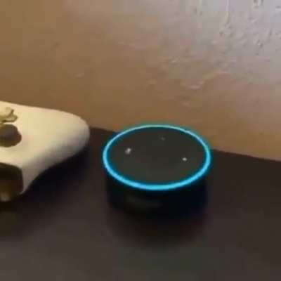 Alexa you’re a bit**
