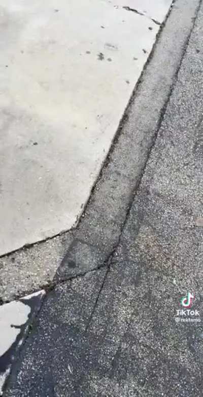 this some fuck shit😭😭