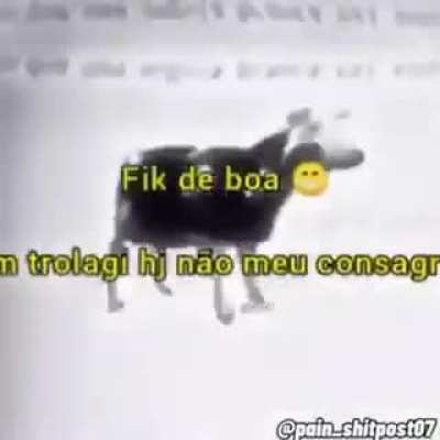 Calma amigo