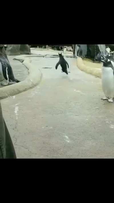 What an active guy
