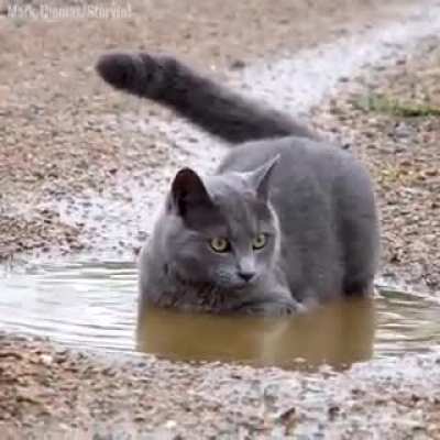 Wetness is the essence of beauty
